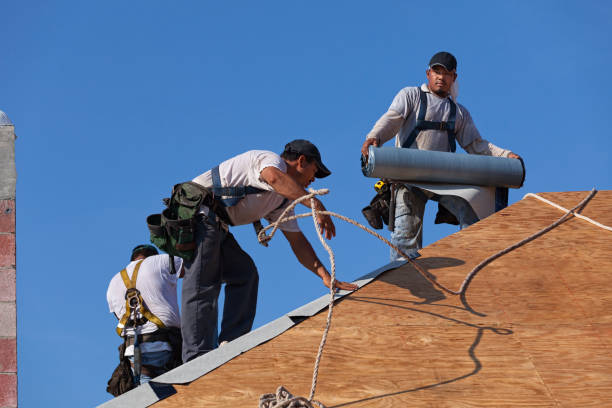 Roof Gutter Cleaning in Carthage, NC